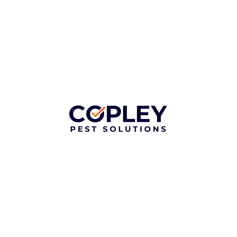 CCTV Drain Surveys